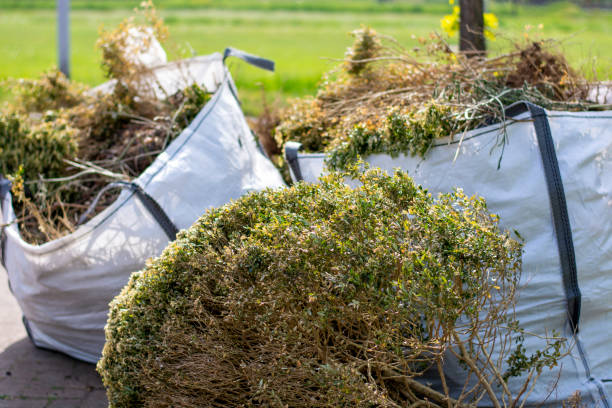 Professional Junk Removal Services in Jonesboro, IL